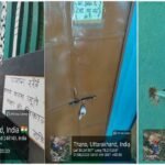 बिना अनुमति संचालित मस्जिद-मदरसा भवन पर एमडीडीए का शिकंजा; नोटिस, सुनवाई और मोहलत के बाद हुई कार्रवाई, अवैध निर्माण को किया गया सील